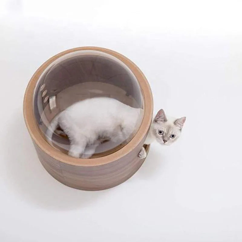 PawFlow Perchoir Mural pour Chat – Arbre en Bois, Fixation Murale DIY