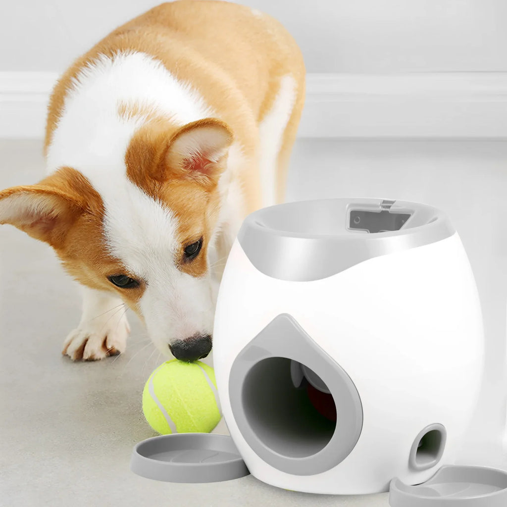 Lanceur de Balles Automatique Chien – Jeu Interactif + Distributeur Friandises