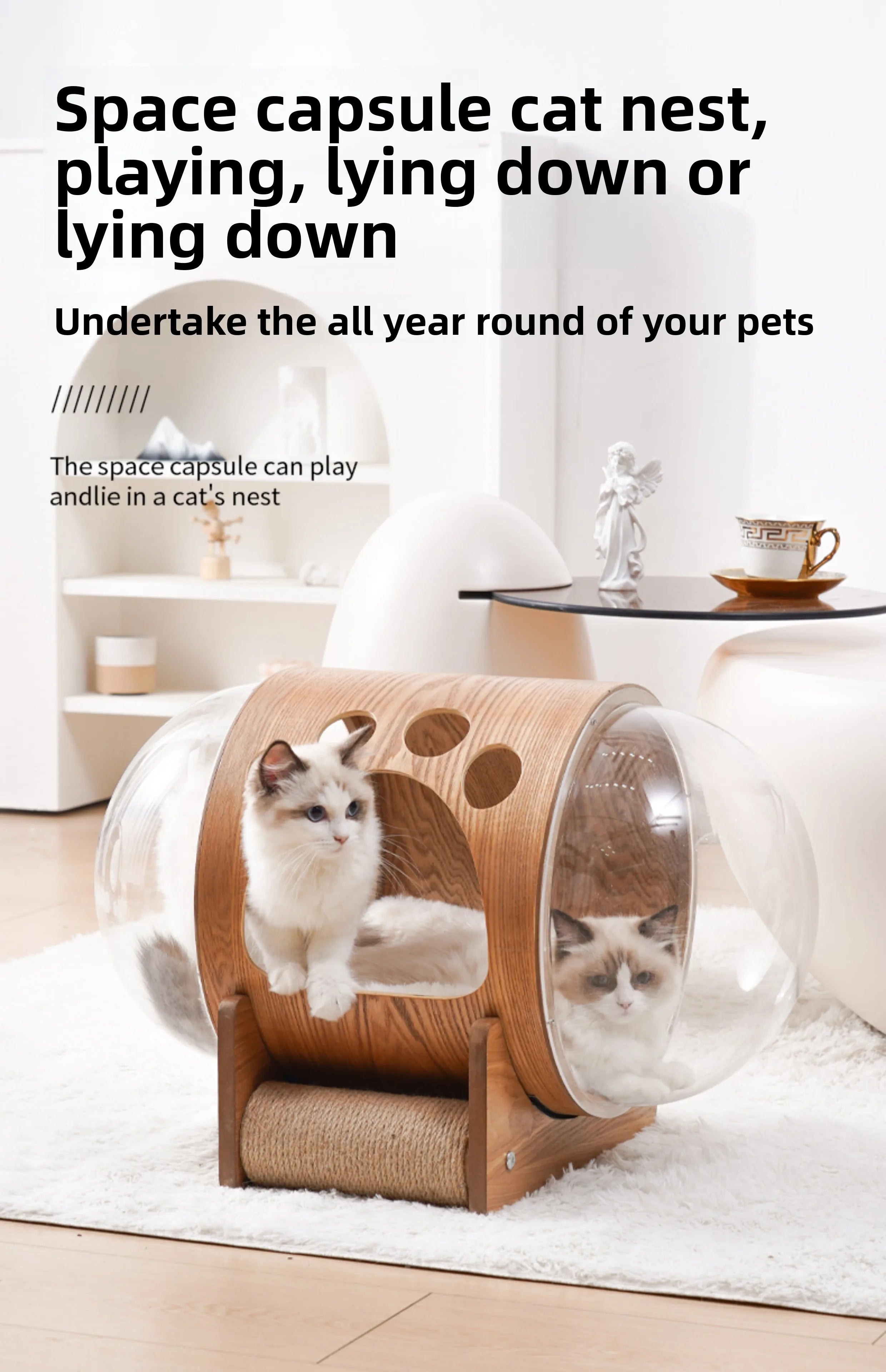 PawFlow Lit Capsule pour Chat – Maison Acrylique Transparente & Cadre en Bois