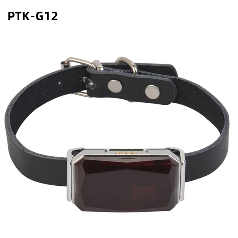 Collier GPS Chien & Chat – Localisation en Temps Réel, Étanche & Longue Autonomie