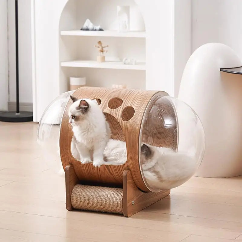 PawFlow Lit Capsule pour Chat – Maison Acrylique Transparente & Cadre en Bois