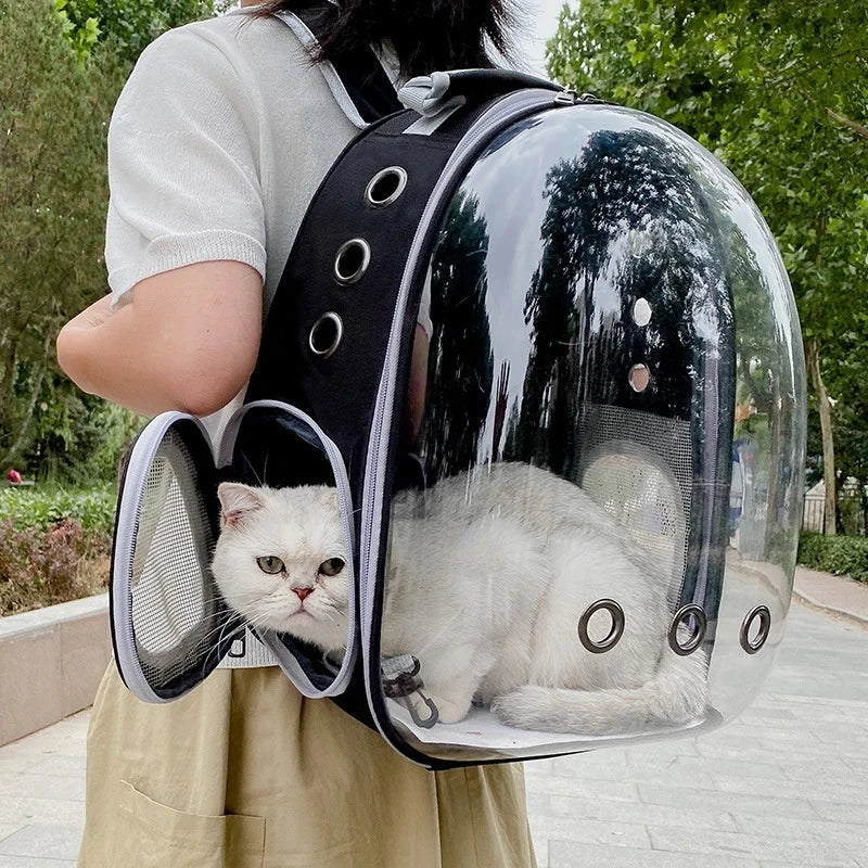 PawFlow Capsule Astronaute – Transport Sécurisé