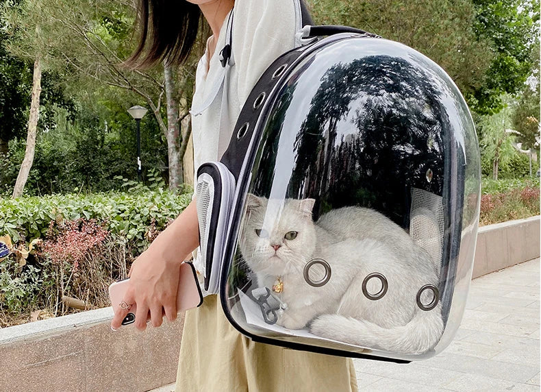PawFlow Capsule Astronaute – Transport Sécurisé