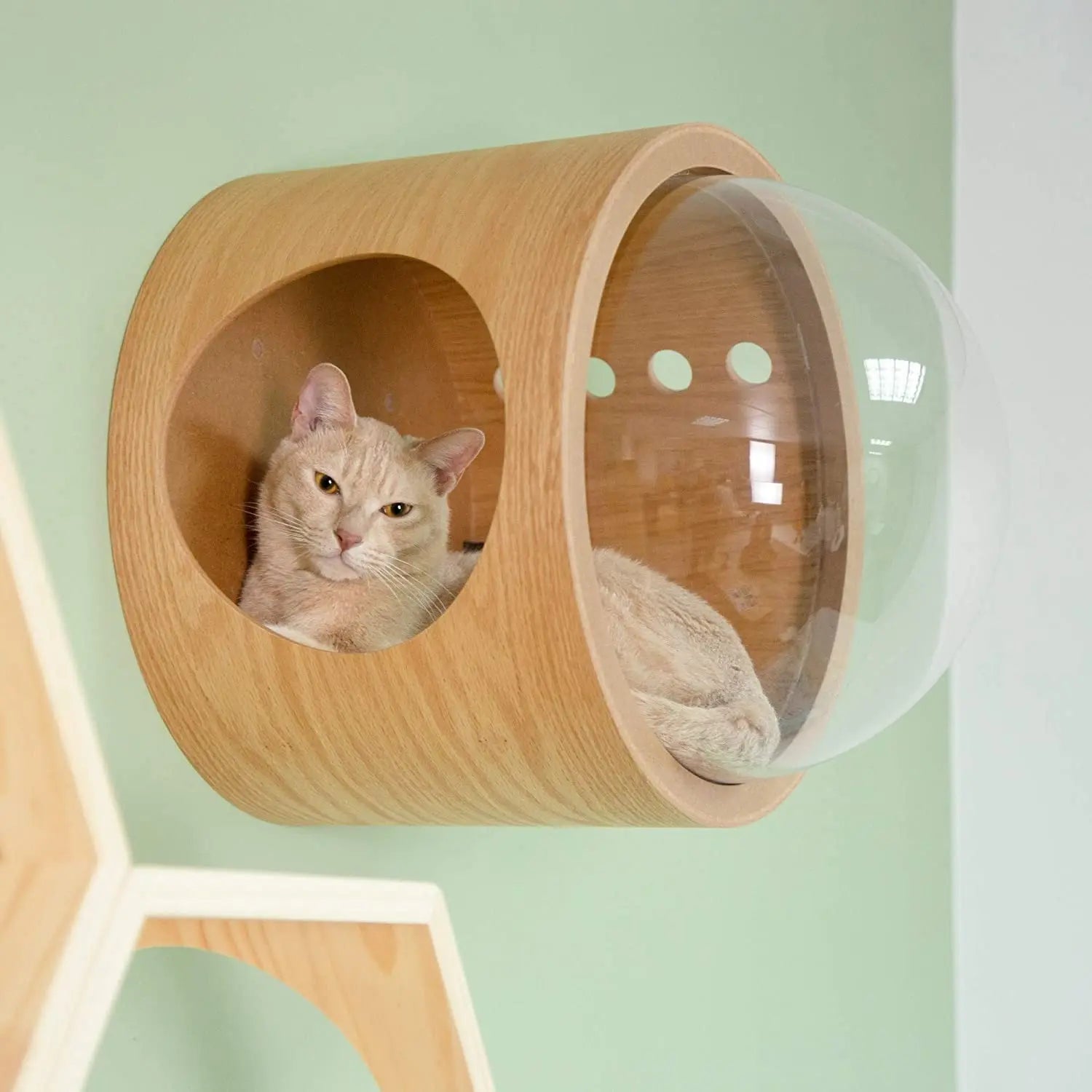 PawFlow Perchoir Mural pour Chat – Arbre en Bois, Fixation Murale DIY