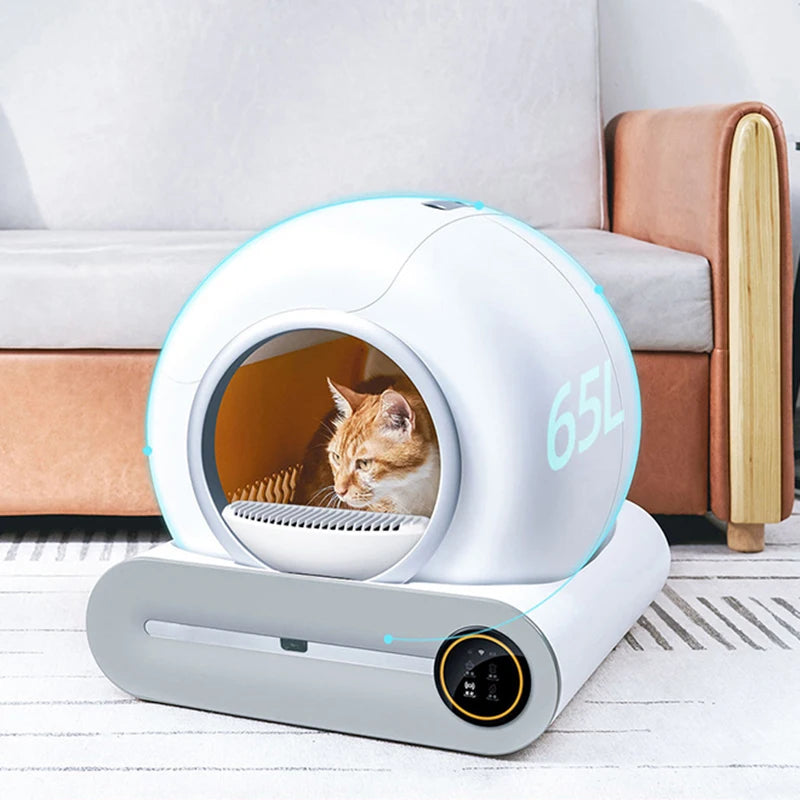 PawFlow Litière Connectée – Contrôle via App