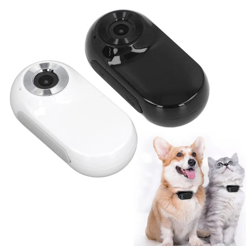 Caméra Collier Animal 120° – Fixation Magnétique, Vidéo & Photo