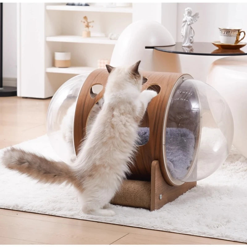 PawFlow Lit Capsule pour Chat – Maison Acrylique Transparente & Cadre en Bois