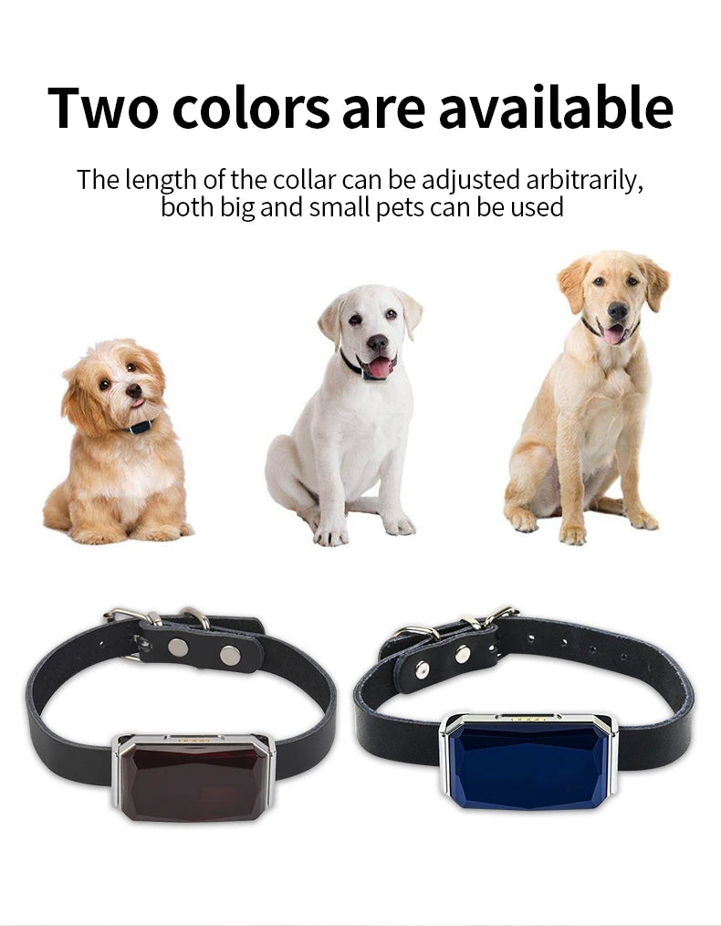 Collier GPS Chien & Chat – Localisation en Temps Réel, Étanche & Longue Autonomie