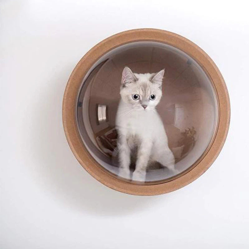 PawFlow Perchoir Mural pour Chat – Arbre en Bois, Fixation Murale DIY