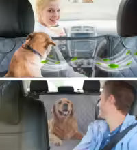Housse Siège Voiture Chien – Imperméable, Anti-Poils & Lavable en Machine