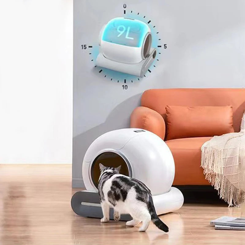 PawFlow Litière Connectée – Contrôle via App