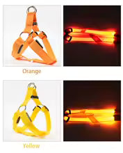 Harnais LED Chien – Sécurité Nocturne, Anti-Traction & Rechargeable USB