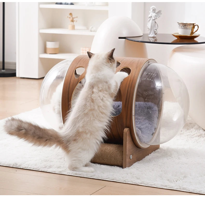 PawFlow Lit Capsule pour Chat – Maison Acrylique Transparente & Cadre en Bois