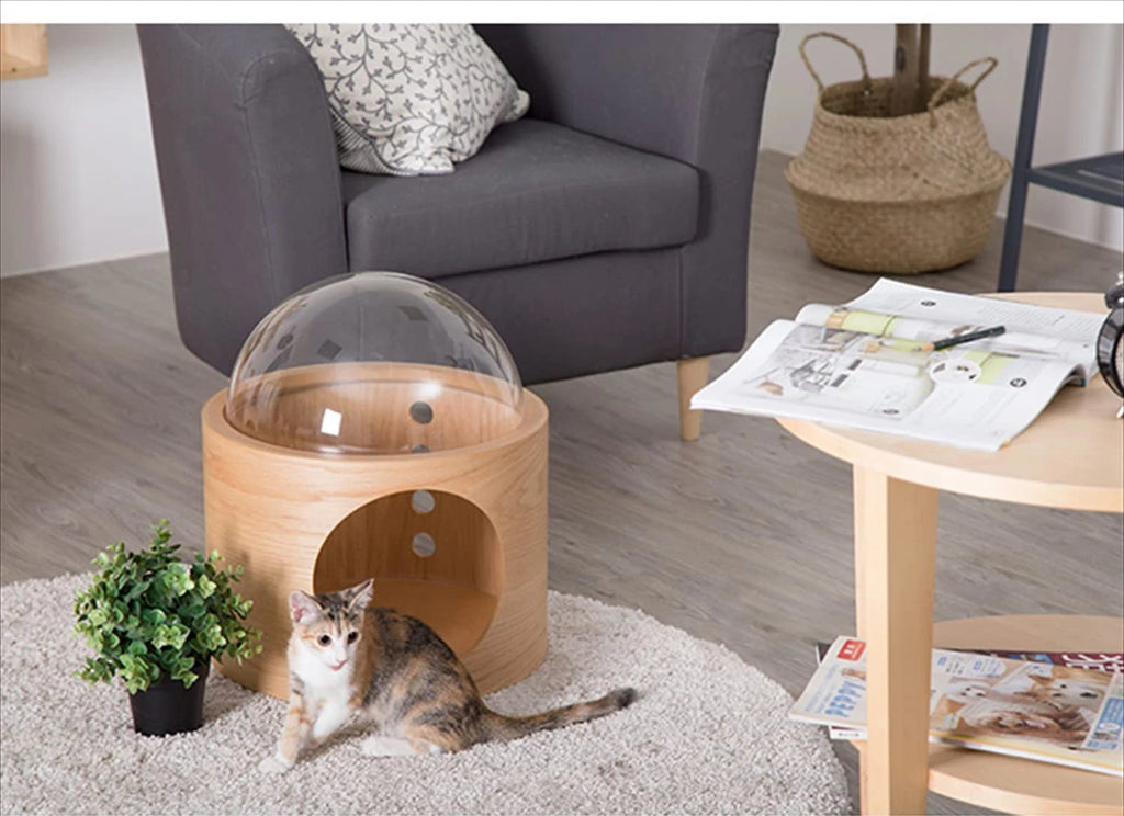 PawFlow Perchoir Mural pour Chat – Arbre en Bois, Fixation Murale DIY
