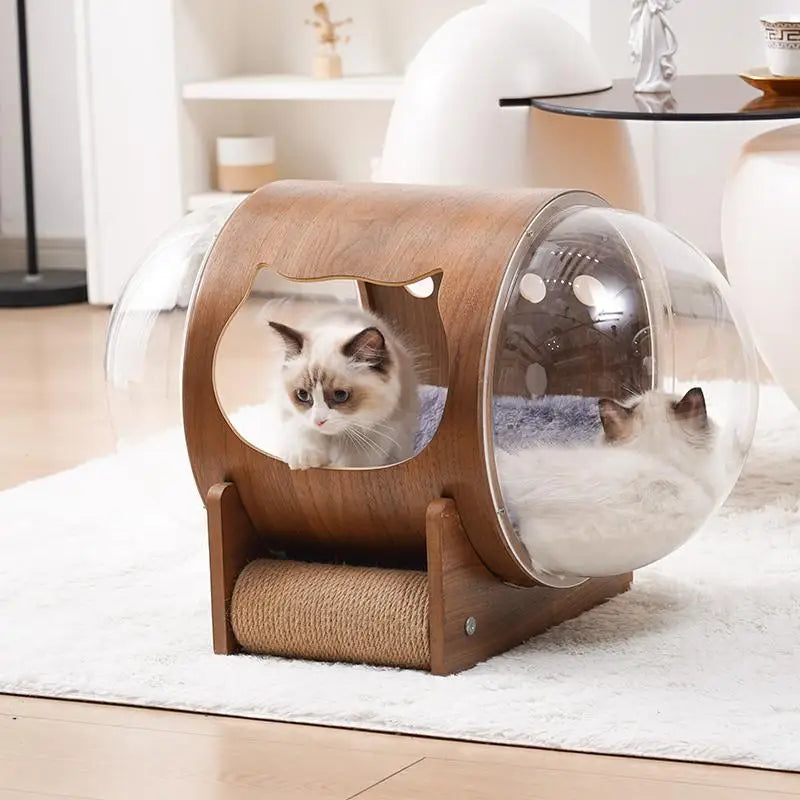 PawFlow Lit Capsule pour Chat – Maison Acrylique Transparente & Cadre en Bois