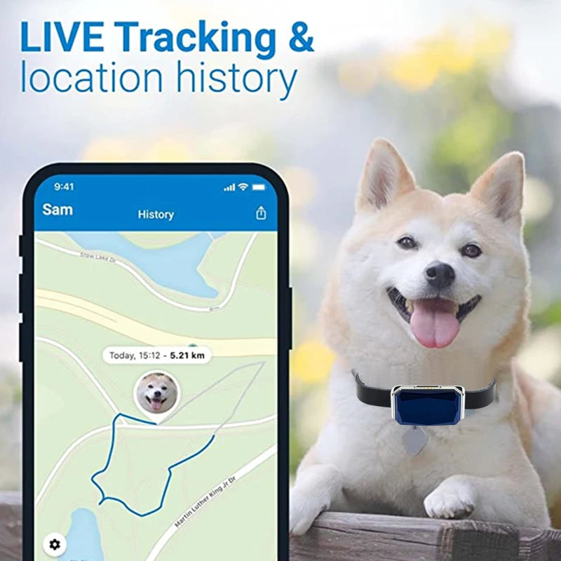 Collier GPS Chien & Chat – Localisation en Temps Réel, Étanche & Longue Autonomie