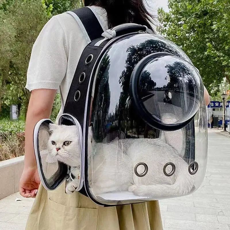 PawFlow Capsule Astronaute – Transport Sécurisé
