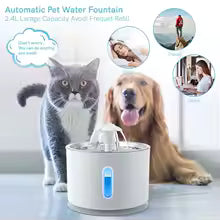 Fontaine à Eau Chat Inox Premium 2,5L – Silencieuse, Filtrée & Anti-Bactérienne