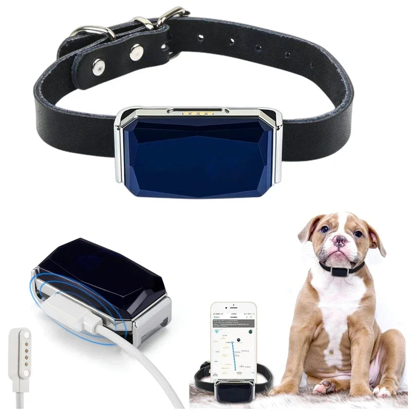 Collier GPS Chien & Chat – Localisation en Temps Réel, Étanche & Longue Autonomie