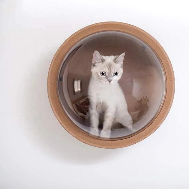 PawFlow Perchoir Mural pour Chat – Arbre en Bois, Fixation Murale DIY