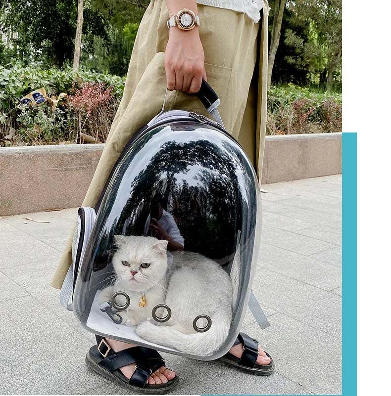 PawFlow Capsule Astronaute – Transport Sécurisé