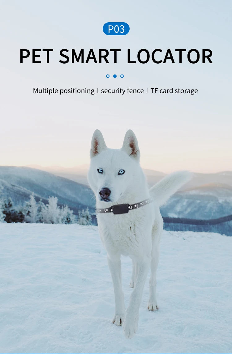 Collier GPS Chien & Chat – Localisation en Temps Réel, Étanche & Longue Autonomie
