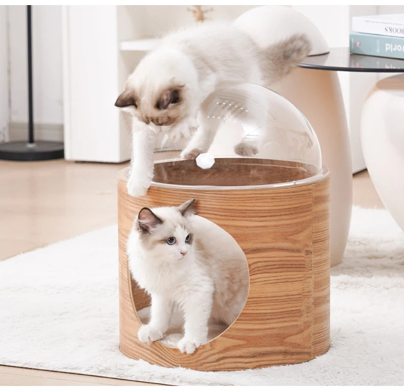PawFlow Lit Capsule pour Chat – Maison Acrylique Transparente & Cadre en Bois