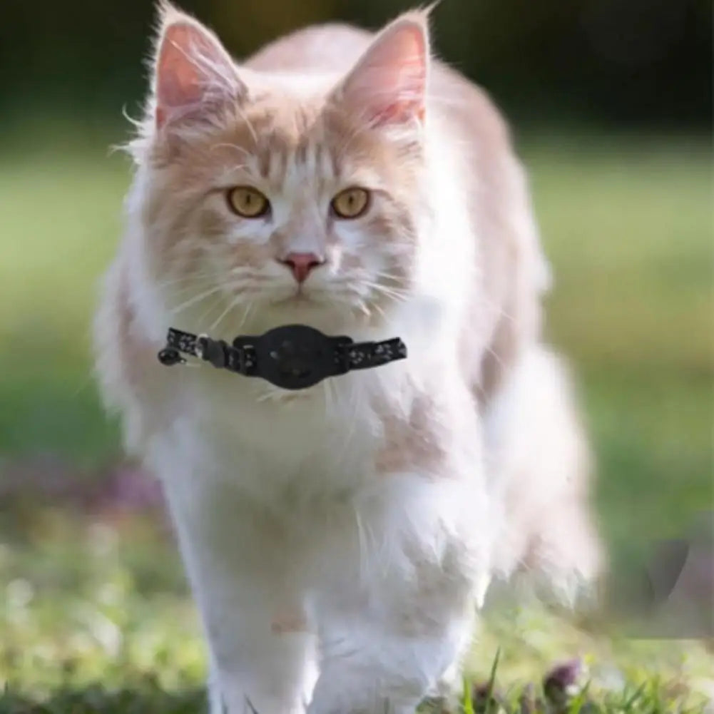 Collier GPS Chat – Localisation Temps Réel, Étanche & Réfléchissant