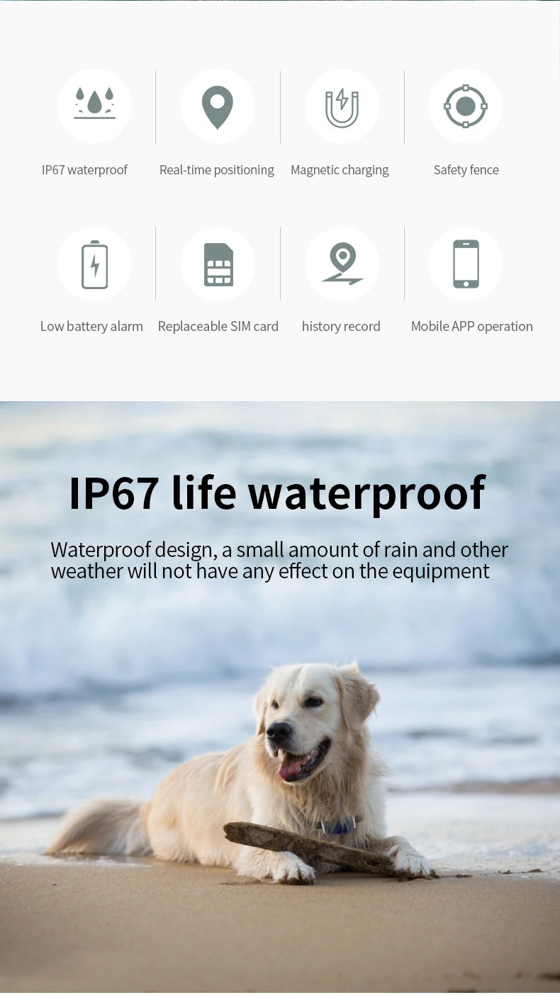 Collier GPS Chien & Chat – Localisation en Temps Réel, Étanche & Longue Autonomie