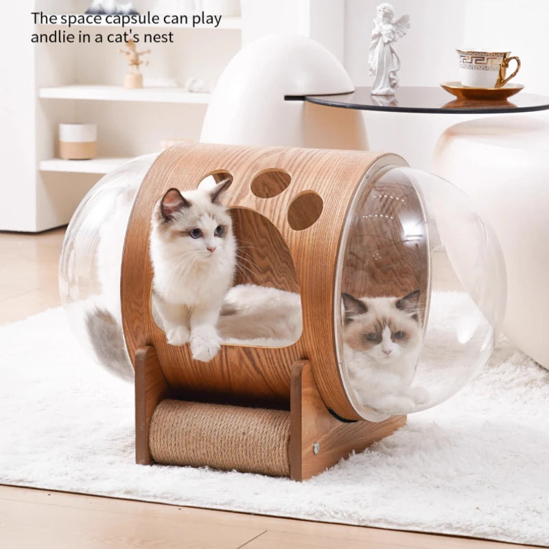 PawFlow Lit Capsule pour Chat – Maison Acrylique Transparente & Cadre en Bois