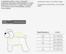 Harnais LED Chien – Sécurité Nocturne, Anti-Traction & Rechargeable USB