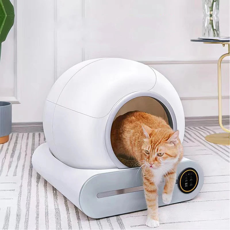 PawFlow Litière Connectée – Contrôle via App