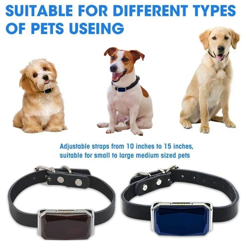 Collier GPS Chien & Chat – Localisation en Temps Réel, Étanche & Longue Autonomie