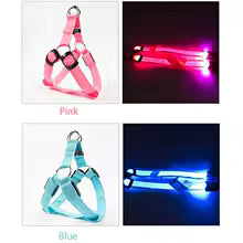Harnais LED Chien – Sécurité Nocturne, Anti-Traction & Rechargeable USB