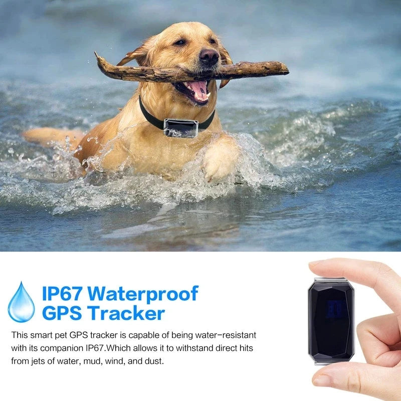 Collier GPS Chien & Chat – Localisation en Temps Réel, Étanche & Longue Autonomie