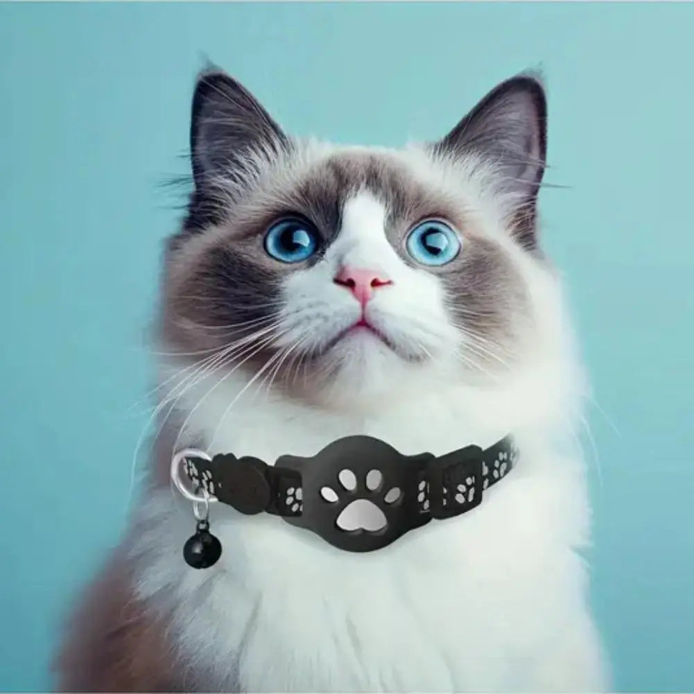Collier GPS Chat – Localisation Temps Réel, Étanche & Réfléchissant