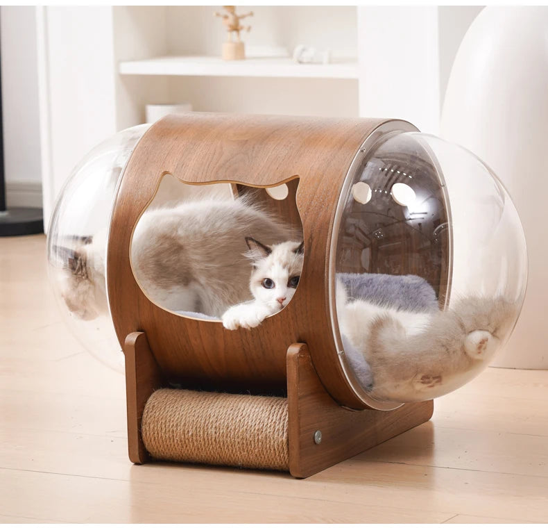 PawFlow Lit Capsule pour Chat – Maison Acrylique Transparente & Cadre en Bois