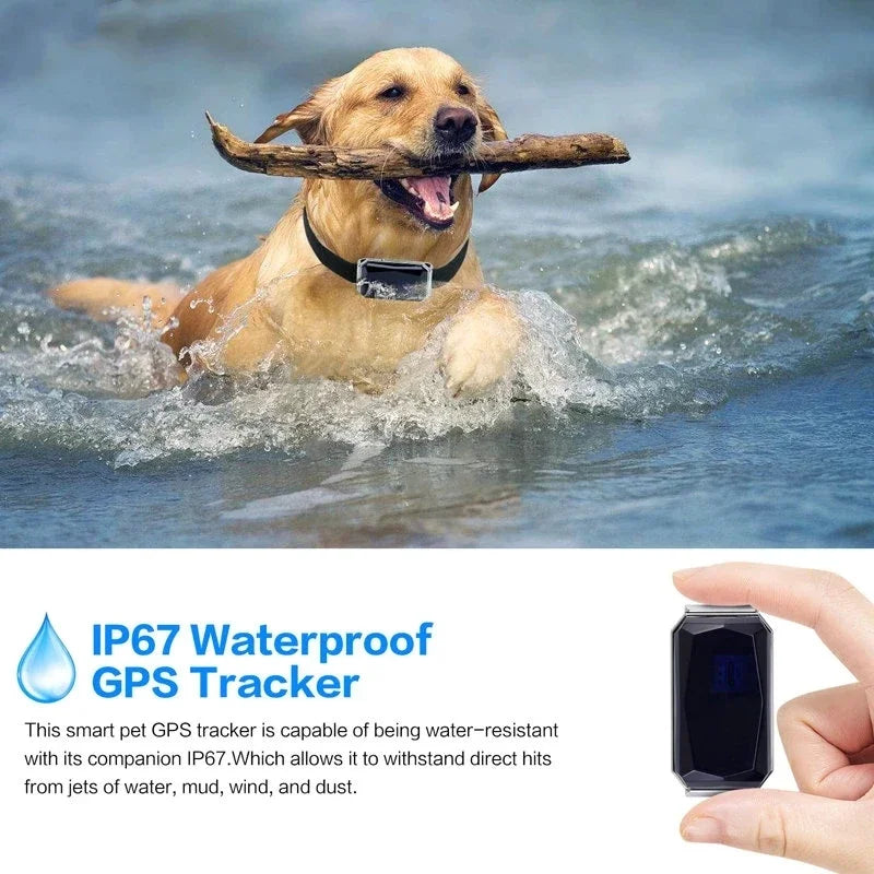 Collier GPS Chien & Chat – Localisation en Temps Réel, Étanche & Longue Autonomie