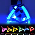 Harnais LED Chien – Sécurité Nocturne, Anti-Traction & Rechargeable USB