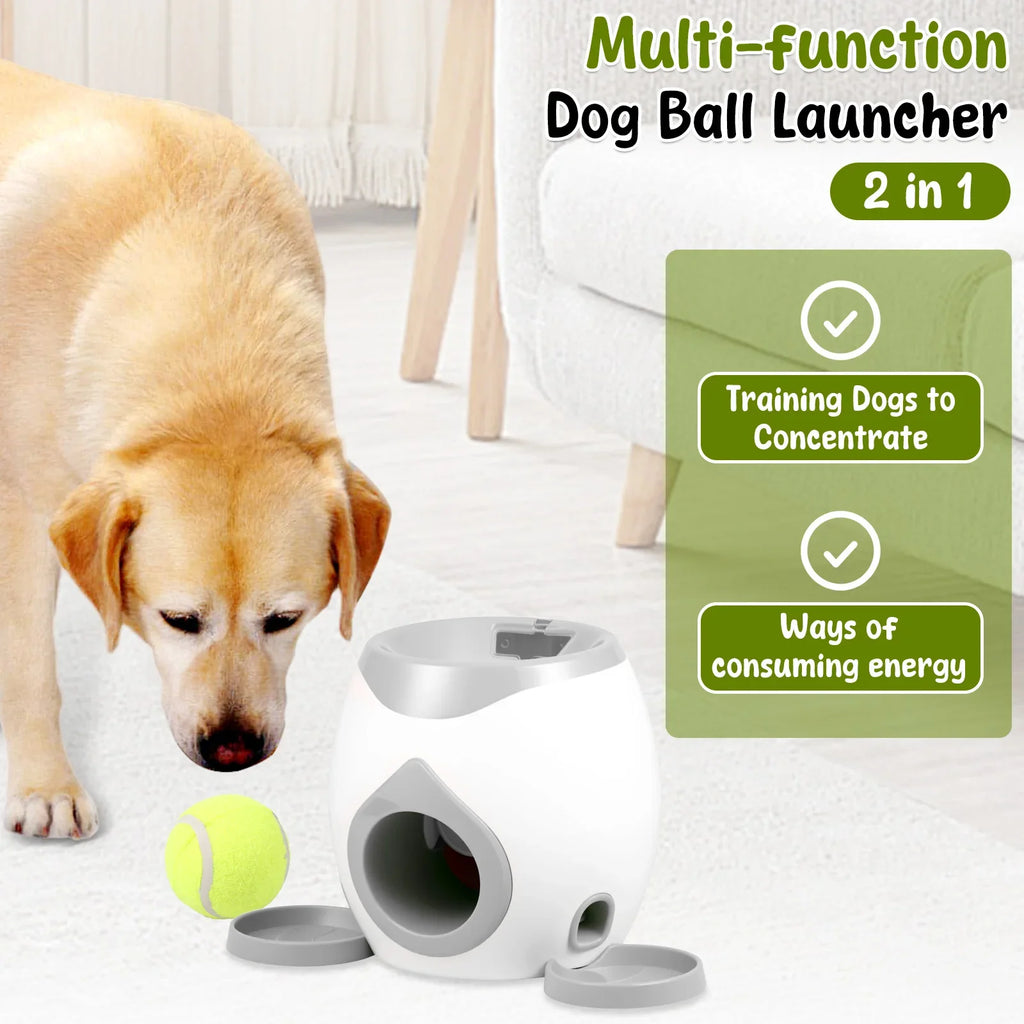 Lanceur de Balles Automatique Chien – Jeu Interactif + Distributeur Friandises
