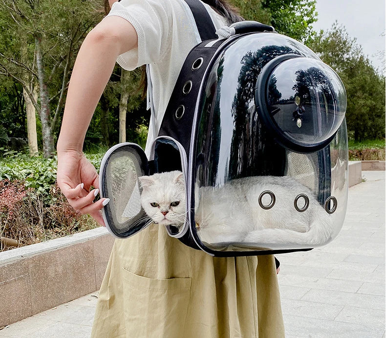 PawFlow Capsule Astronaute – Transport Sécurisé