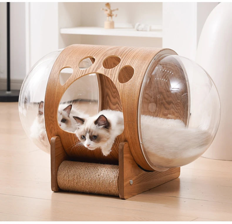 PawFlow Lit Capsule pour Chat – Maison Acrylique Transparente & Cadre en Bois