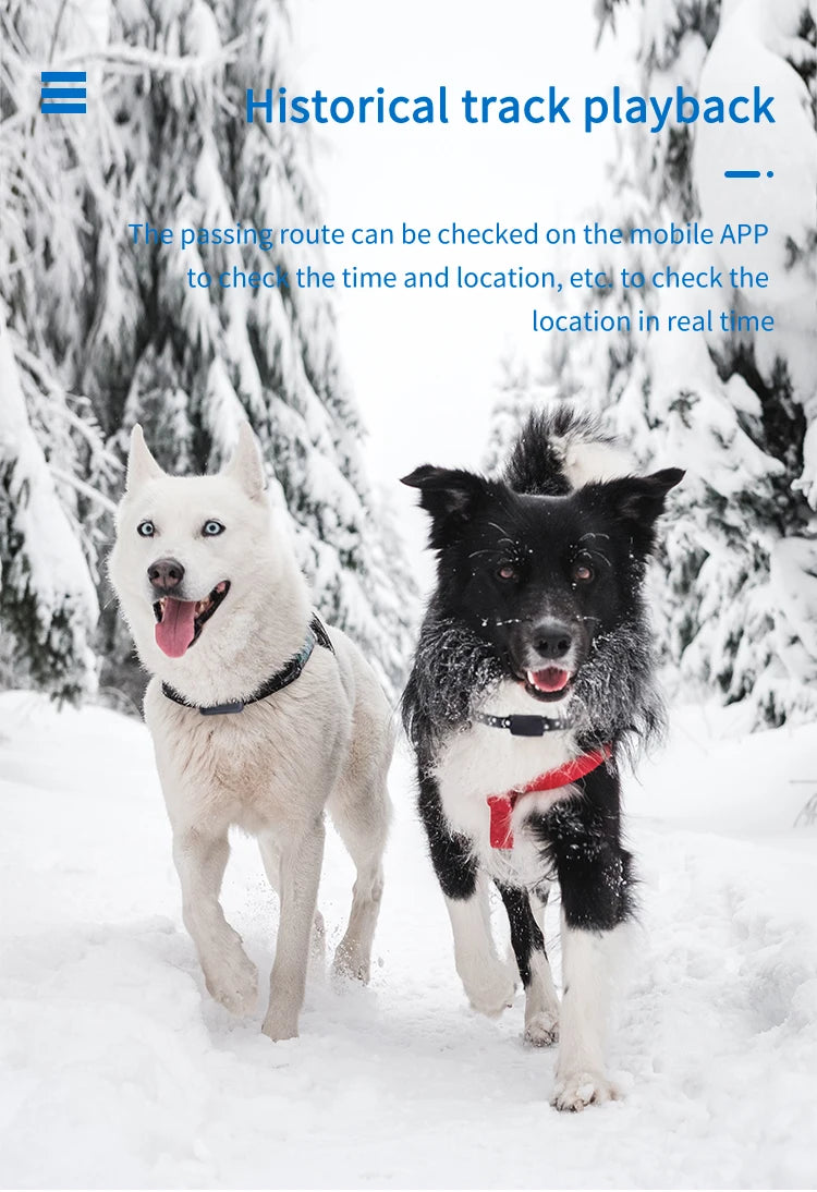 Collier GPS Chien & Chat – Localisation en Temps Réel, Étanche & Longue Autonomie