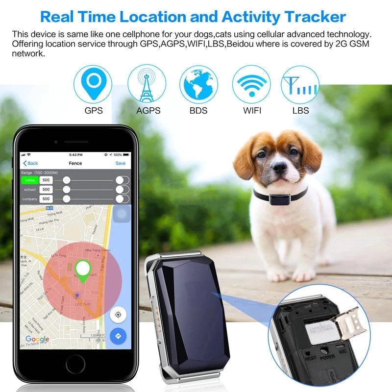 Collier GPS Chien & Chat – Localisation en Temps Réel, Étanche & Longue Autonomie