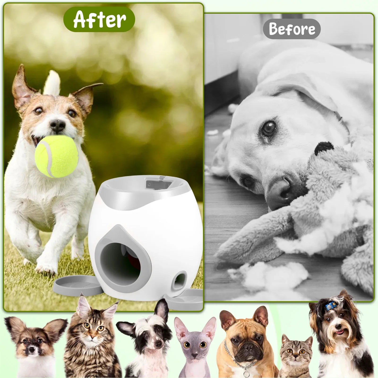 Lanceur de Balles Automatique Chien – Jeu Interactif + Distributeur Friandises