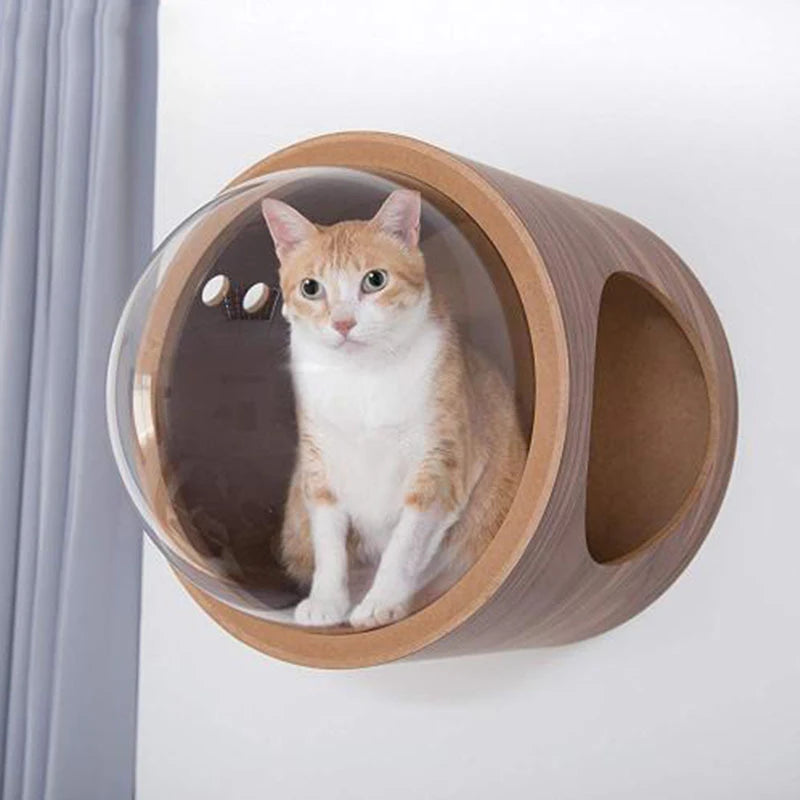 PawFlow Perchoir Mural pour Chat – Arbre en Bois, Fixation Murale DIY