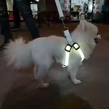 Harnais LED Chien – Sécurité Nocturne, Anti-Traction & Rechargeable USB